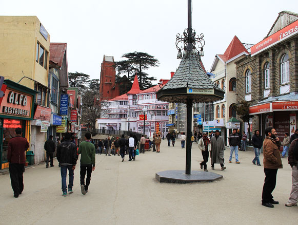shimla-local